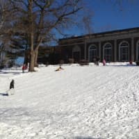 <p>The slope behind Mamaroneck High School provides a great sledding spot  for kids Sunday.</p>