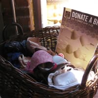<p>&quot;Donate a bra. Give a former slave a job&quot; at Aurora, 1 King S., in Chappaqua. </p>