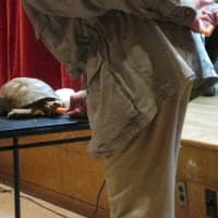 <p>Fix feeds his 90-year old tortoise named Shelly a carrot.</p>