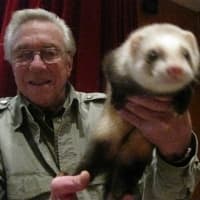 <p>Fix doing a rendition of &quot;pop goes the weasel&quot; with a ferret. </p>