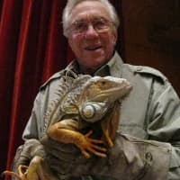 <p>Iguanas are known to use their tales as a weapon, Fix told the audience.</p>