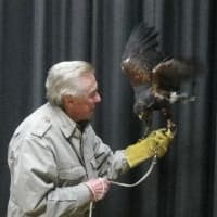 <p>Fix ended his show by showing his Harris Hawk. </p>