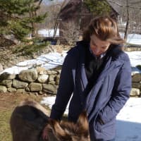 <p>Chipper the donkey stays close by owner Bethany Zaro. </p>
