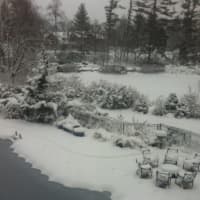 <p>This backyard in the Greenwich midcountry was a winter wonderland on Friday morning.</p>