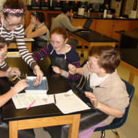 <p>Fox Lane students compared sheep brain to a human brain by applying concepts learned in class, and interacted with experts from NYSci.</p>