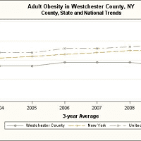 <p>Well below national and New York State trends, Westchester County&#x27;s percentage of adult obesity is also on the decline.</p>