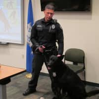 <p>Darien Police Officer Nicholas Aranzullo and K-9 officer &quot;Zulu&quot; give a demonstration during the department&#x27;s recent Citizen&#x27;s Police Academy. </p>