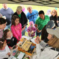 <p>Children and parents learn about bird banding on International Migratory Bird Day at Sherwood Island State Park in Westport last year. The event was part of the Great Parks Pursuit. </p>