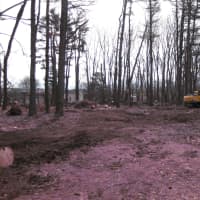 <p>This open space could soon be room for dogs and their owners to socialize. </p>