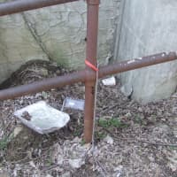 <p>The walkway between Somersville Road and Edwards Place in Yonkers where a 9-month-old puppy was found. The dog was euthanized Thursday due to life-threatening injuries and excessive blood loss. </p>