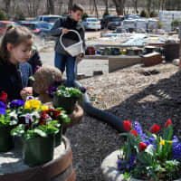 <p>Dozens of families attend the Easter Egg hunt at Hilltop Farms in Croton.</p>