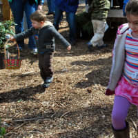<p>The kids get to work at the Easter egg hunt at Hilltop Farms in Croton on Saturday.</p>