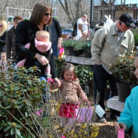 <p>No leaf is left unturned as Easter egg hunters hit their stride at Hilltop Farms in Croton.</p>