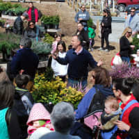 <p>Dozens of families hunt for Easter eggs at Hilltop Farms in Croton on Saturday afternoon.</p>