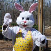<p>The Easter Bunny hosts an egg hunt as dozens of families turn out at Hilltop Farms in Croton on Saturday afternoon.</p>
