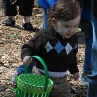 <p>A young egg hunter goes to work at Hilltop Farms.</p>