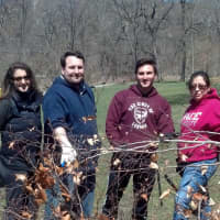 <p>George Kevgas (second from left) and fellow members of the Westchester Young Democrats.</p>