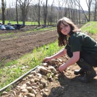 <p>4-H Club members collected rocks to prepare the terraced beds for planting.</p>