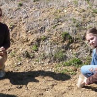 <p>4-H Club members collected rocks to prepare the terraced beds for planting.</p>