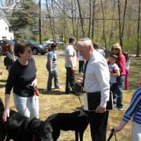 <p>Rabbi Fred Schwalb blesses dogs last Sunday at Hebrew Congregation of Somers annual &quot;Bark Mitzvah.&quot;  </p>