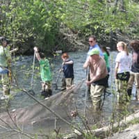 <p>Wilton residents can participate in a Norwalk River Walk Sunday during the Wilton Go Green Festival.</p>