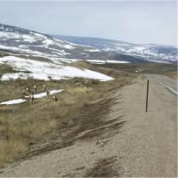 <p>Greenwich billionaire Paul Tudor Jones III has put $4 million into making a Colorado highway safer for animals.</p>