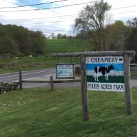 <p>When you see the cow sign, turn right for Ferris Acres Creamery in Newtown.</p>