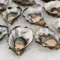 FDA Recalls Oysters After Norovirus Outbreak