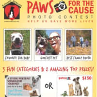 <p>The Ramapo Bergen Animal Refuge fundraiser Paws for the Cause photo contest continues through May 31.</p>