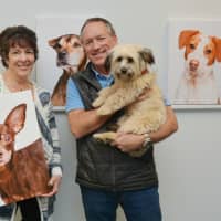 Bankwell Helps Four Legged Friends Find New Homes