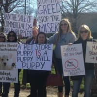 <p>A group of women protest in Danbury, Conn., after pet shop owner Richard Doyle was charged in Connecticut with animal cruelty and practicing veterinary medicine without a license.</p>