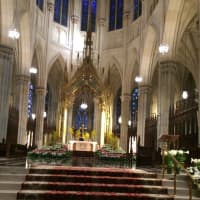 <p>St. Patrick&#x27;s Cathedral is stunning inside and out.</p>