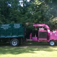 <p>Northeast Horticultural in Stratford founder Stacey Marcell works in a predominantly male-dominated field and industry. The pink wood chipper is a hallmark of the organic plant and tree care business.</p>