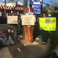 <p>About 40 protesters holding signs stood and walked along Kinderkamack Road just north of the Emerson train station</p>