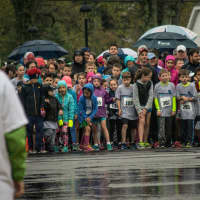 <p>Children get ready to bolt from the starting line during the kids&#x27; race.</p>