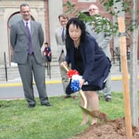 <p>Eastchester parent Chiaki Umemoto spearheaded the initiative to plant sakura cherry trees at each of the school district&#x27;s five schools.</p>