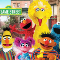 <p>The Sesame Street gang.</p>