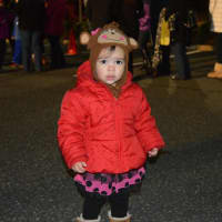 <p>A youngster enjoys the tree lighting at the Big Y in the Stony Hill neighborhood of Bethel. </p>