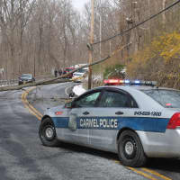 <p>A tree across Baldwin Place Road after hitting a car.</p>