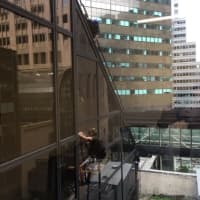 <p>A Twitter photo of man climbing Trump Tower with suction cups.</p>