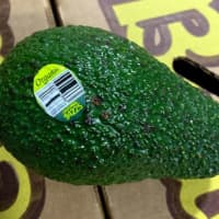 <p>Henry Avocado Corporation is voluntarily recalling California-grown whole avocados sold in bulk at retail stores.</p>