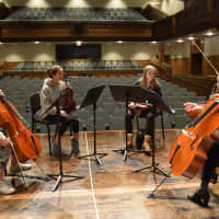 <p>The orchestra students worked in small groups with the quartet members to refine each composition and as a result of the creative and collaborative process, they learned a variety of strategies for composing music.</p>