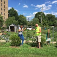 <p>Westchester Habitat for Humanity CEO Jim Killoran is ready to kick off the &quot;Summer of Volunteering&quot; in New Rochelle.</p>
