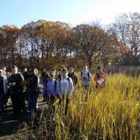 <p>The Nov. 16 visit to Pelham Bay Park was part of a field trip for the New Rochelle High School students enrolled in the new elective marine science course at the school.</p>