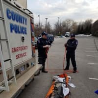 <p>The necropsy report for the dead dolphin that washed up near the Pelham-Mount Vernon town line has been released.</p>