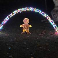 <p>Holiday decor in Ardsley.</p>