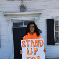 <p>Students from Carmel High School organized a rally at the old Putnam County Courthouse over gun control laws in America.</p>