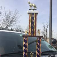<p>Clarkstown&#x27;s K9 Taz and his handler brought home the first place trophy in the United States Police Canine Association Region 7 Narcotics Certification.</p>