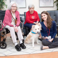<p>Tinsley has been helping dementia patients at United Hebrew in New Rochelle.</p>