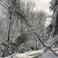 <p>Downed trees and power lines wreaked havoc throughout Connecticut.</p>